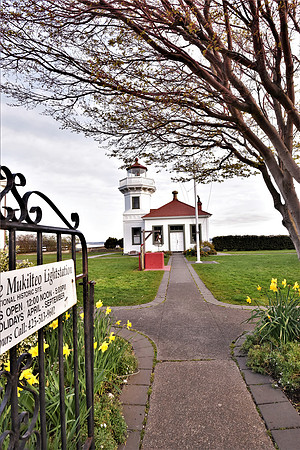 3-31-21 MLH Spring-