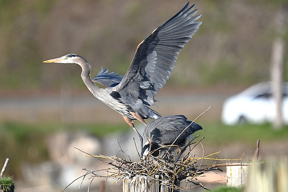 Take off