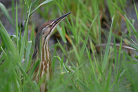 Am Bittern 7