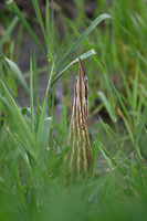 Am Bittern 3
