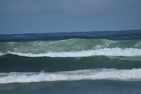 Wave