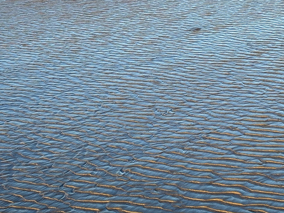Beach Sand