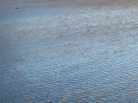 Beach Sand EW 1