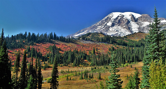 Paradise Valley