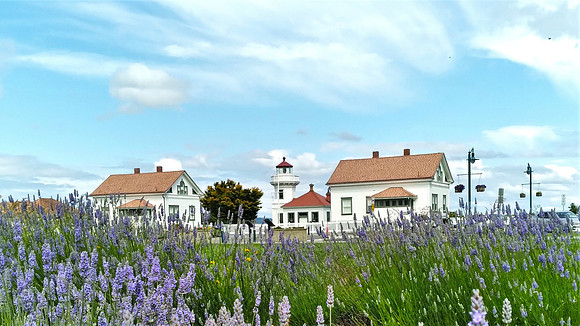 110EW Lavender & Mukilteo LH
