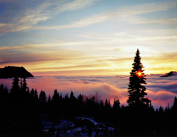 Paradise above the clouds- Lower lot Paradise