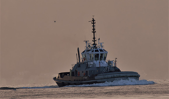 _DSC7221 Y2-803 Navy Tug