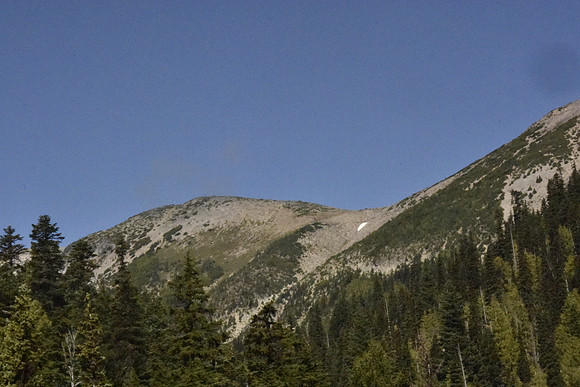2nd Burroughs from the south