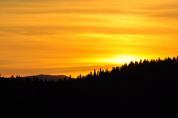 Yellow Sunset