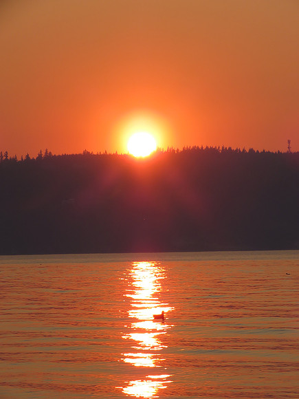 Sunset Fire Season
