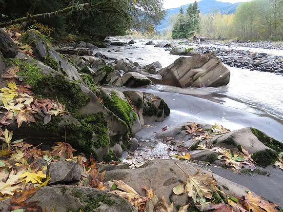 Carbon River MR