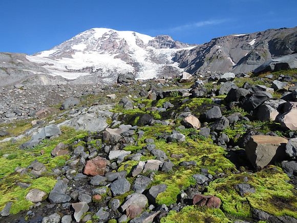 Upper moraine Trail
