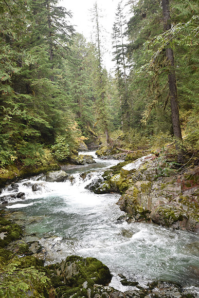 Upper Ohanapecosh River