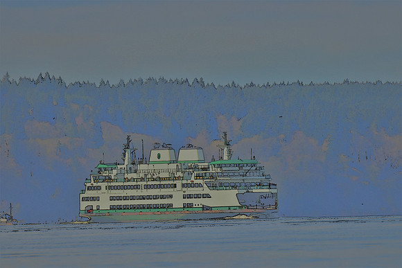 994 Tokitae Ferry PI