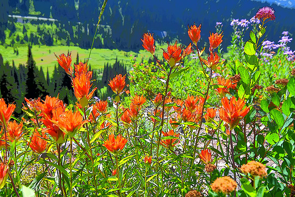 Paintbrush