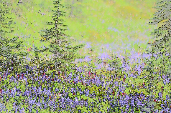 Subalpine flowers