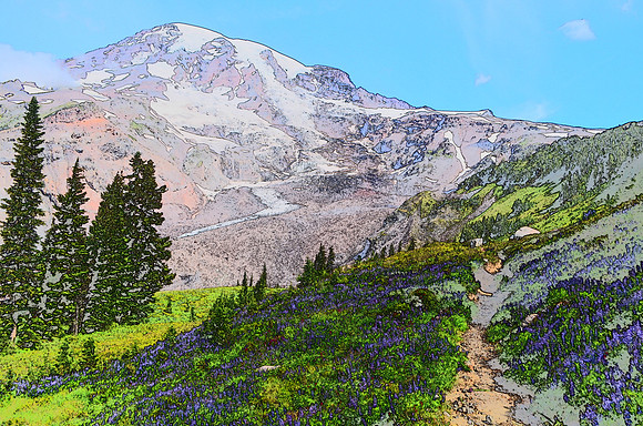 Moraine Trail Mount Rainier