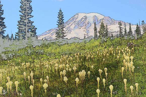Beargrass 2 016