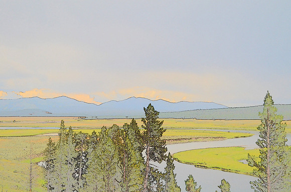 Yellowstone prairies