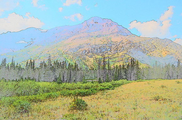 Rocky NP Meadow