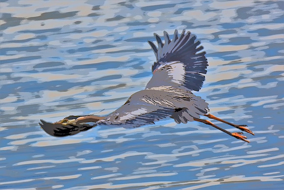 Heron in Flight