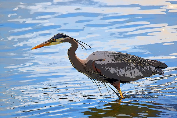 Heron PI_0984 (2)