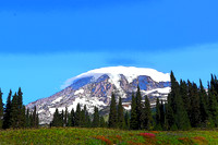 Mt Rainier