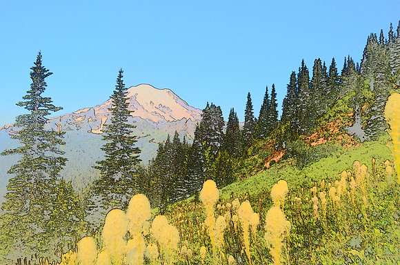Beargrass