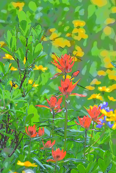 Paintbrush