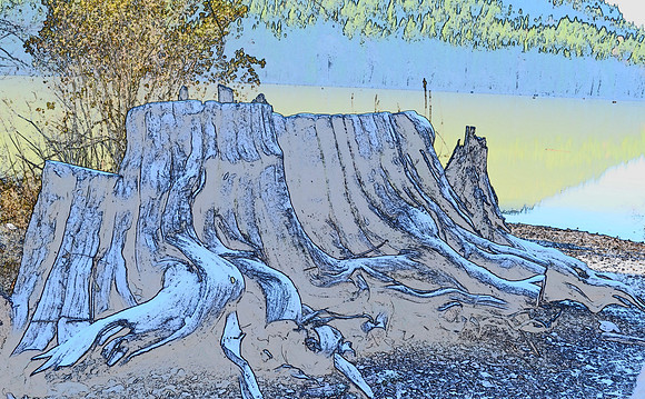 Tree frost sketch 25