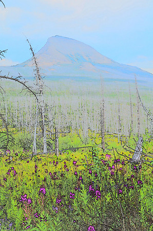 Yellowstone 6