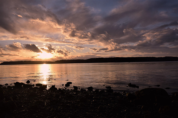 Seascapes 2075