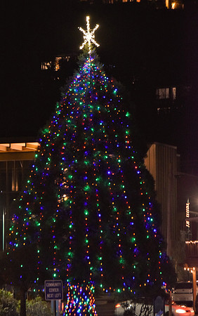 2020 Mukilteo Tree
