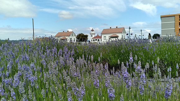Mukilteo LH