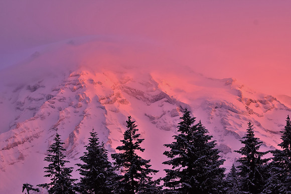 Longmire Winter Alpine Glow at Sunrise