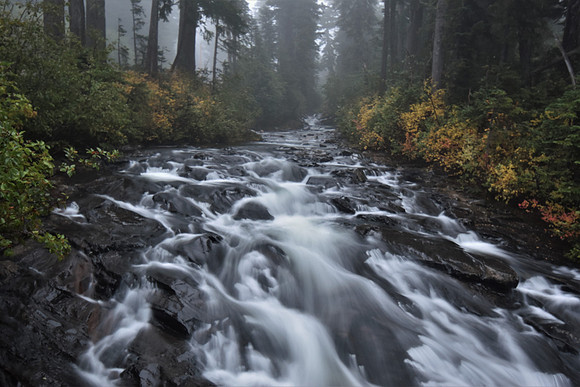 Paradise River