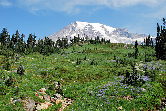 Deadhorse Creek Trail