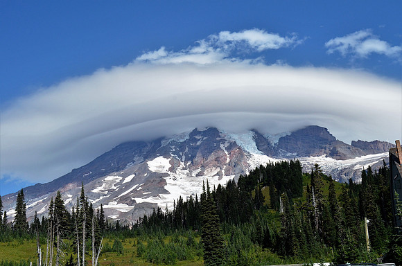 Lenticular