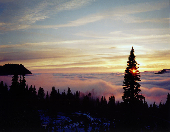 January 2017 -Paradise above the clouds