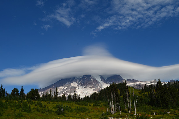 Lenticulars upper lot Paradise