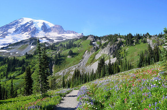 Paradise Meadows 16