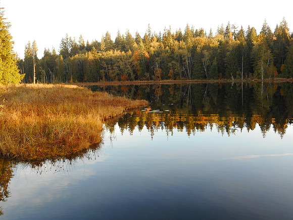 Fall at Lost lake