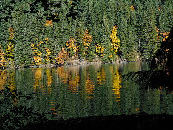 Fall Reflection