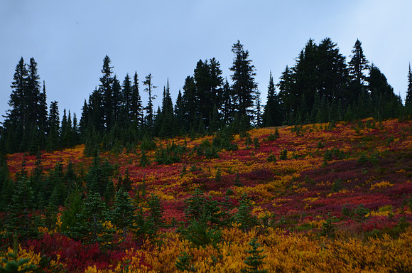 Paradise Fall Color 2018