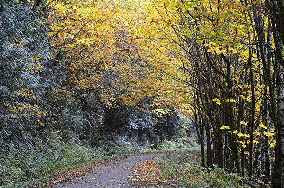 Country Road