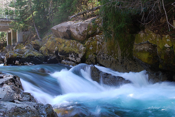 Ohanapecosh River