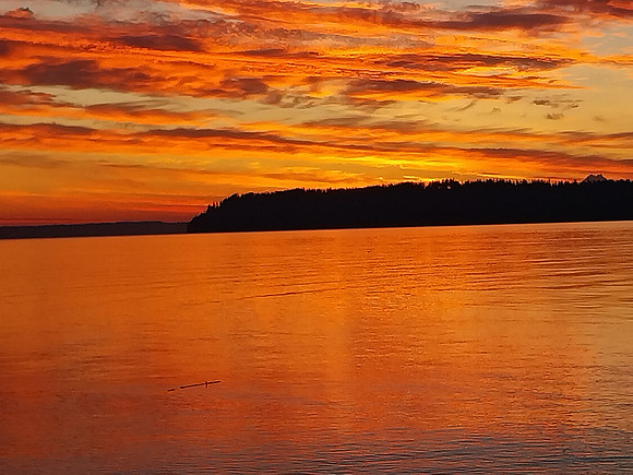 Golden Sunset