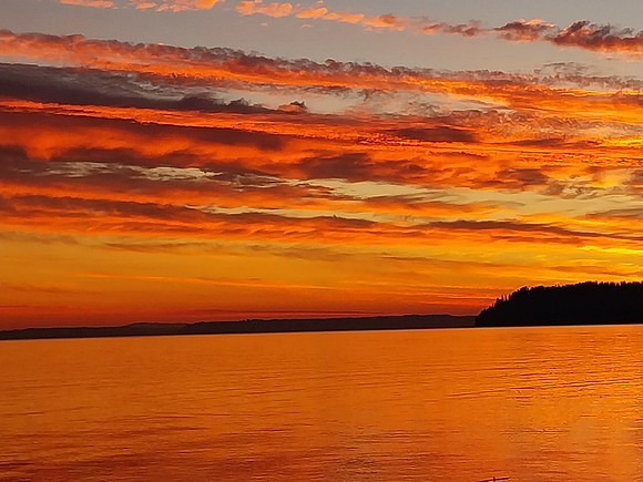 Golden Ripples