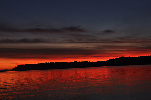 Crimson Salish Sea