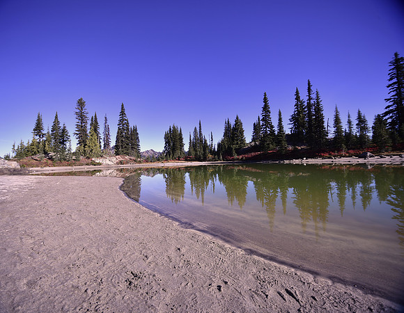 Footprints in the Sand